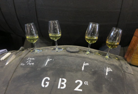 Selecting the Palmas